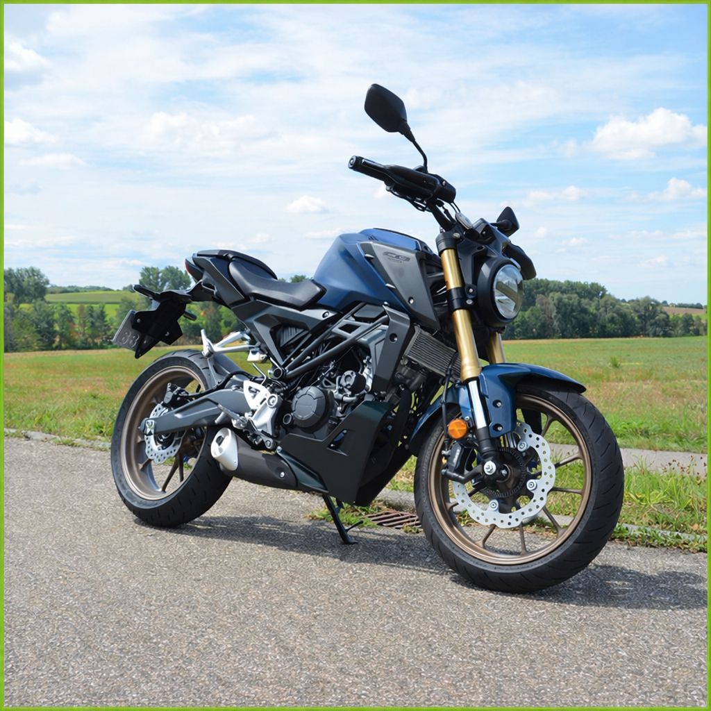 This image for Image Layouts addon